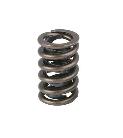 Ferrea Racing springs