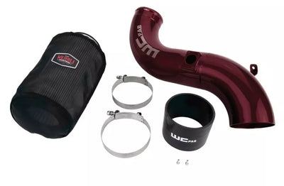 Wehrli intake system