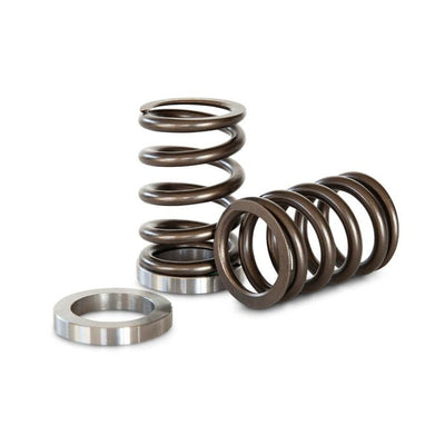 Kelford Cams springs