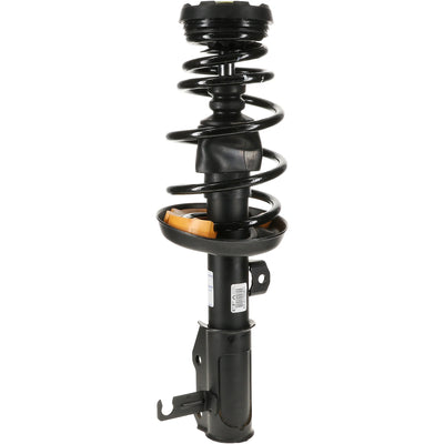 ROADMATIC STRUT ASSEMBLY