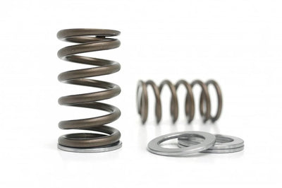 Kelford Cams springs