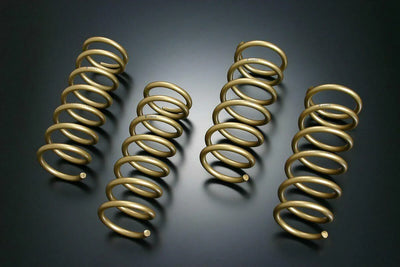 Tein springs