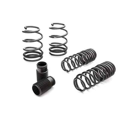 Eibach springs