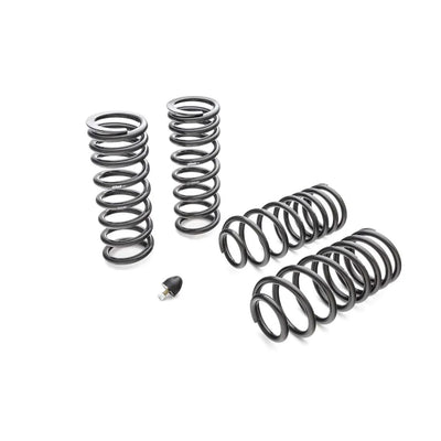 Eibach springs
