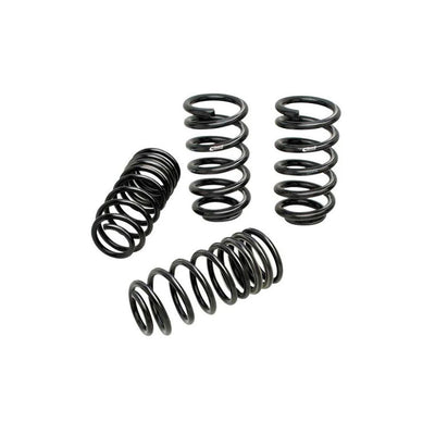 Eibach springs