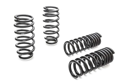 Eibach springs