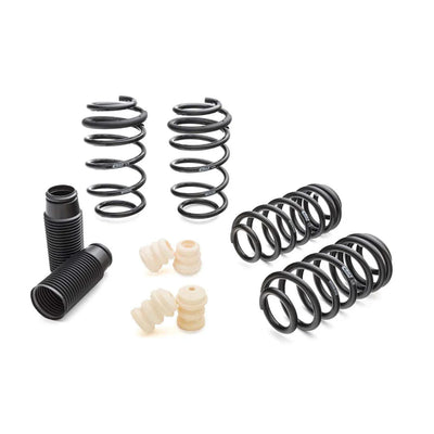 Eibach springs