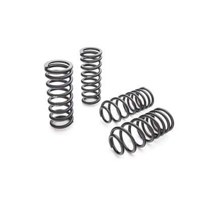 Eibach springs