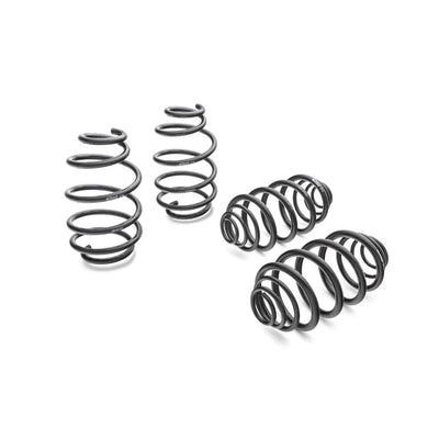 Eibach springs