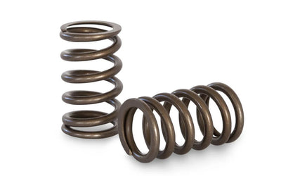 Kelford Cams springs