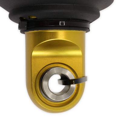 21-24 TRX 1500 REAR DF MBR SHOCKS