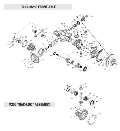 Dana auto part