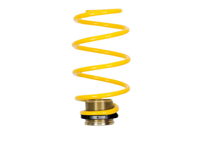Suspension Techniques springs