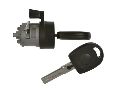 IGNITN LOCK CYLINDER KEYS