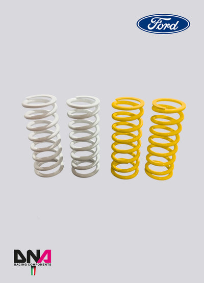 DNA Racing shock absorber