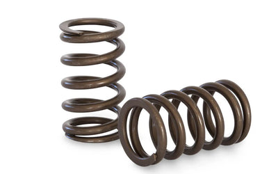 Kelford Cams springs