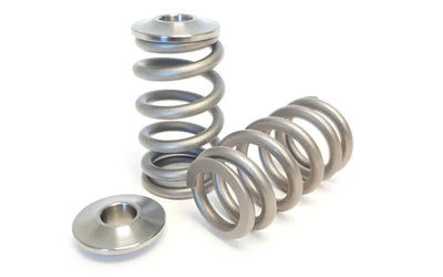 Kelford Cams springs