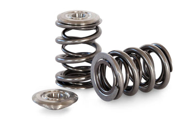 Kelford Cams springs