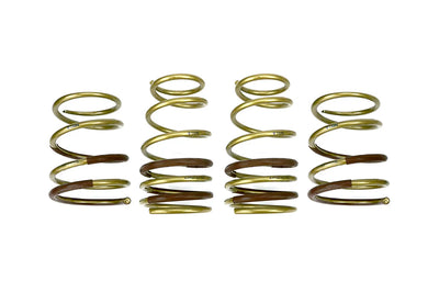 Tein springs