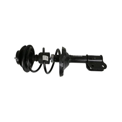 ROADMATIC STRUT AND COIL SPRING ASS