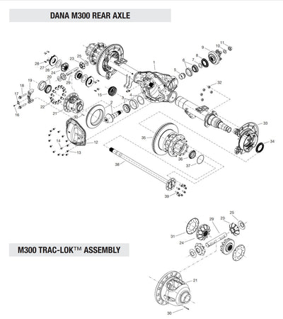 Dana auto part