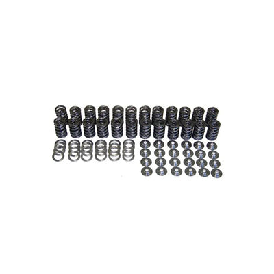 Valve Spring Set, 24V VR6 w/ R
