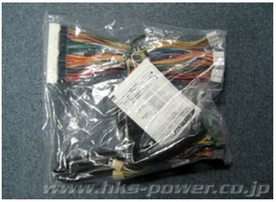 HKS auto part