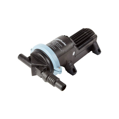 WHALE auto part