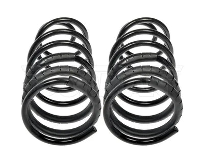 COIL SPRINGS