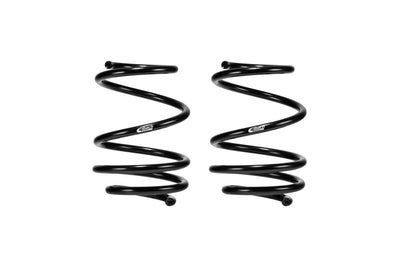 Eibach springs
