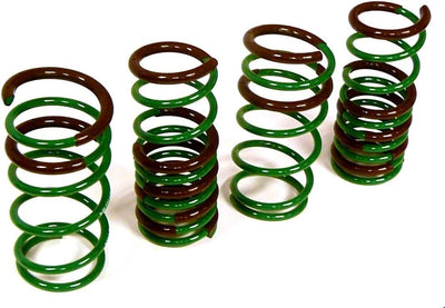 Tein springs