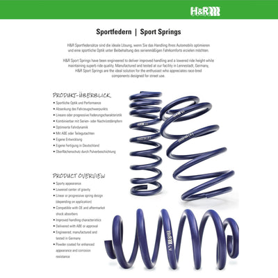 H&R springs