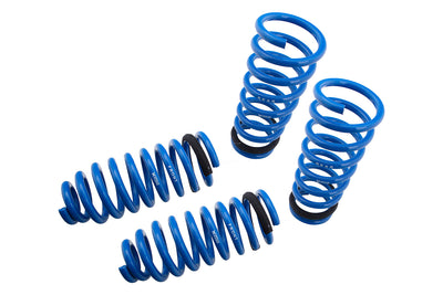 Megan Racing springs