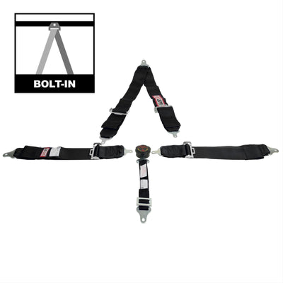 SFI 16.1 CAM-LOCK HARNESS 3' PULL D