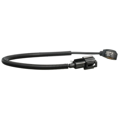 DELPHI auto part