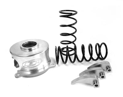 R1 12-18 Ford Focus Rear Carbon Coated Brake Rotor Set w/Ceramic Pads and Hardware