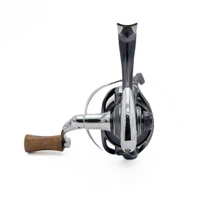 Clam Ice - 17694