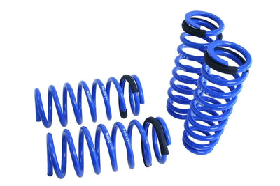 Megan Lowering Springs Lexus GS350 2013-2020 RWD Only 33LBS