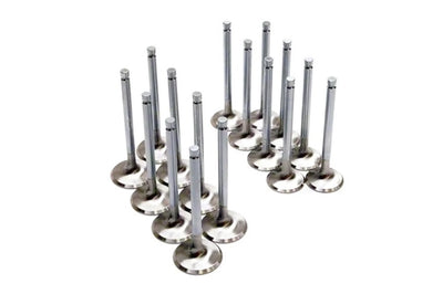Brian Crower Mitsubishi 4B11T Evolution X 35mm Intake Valves