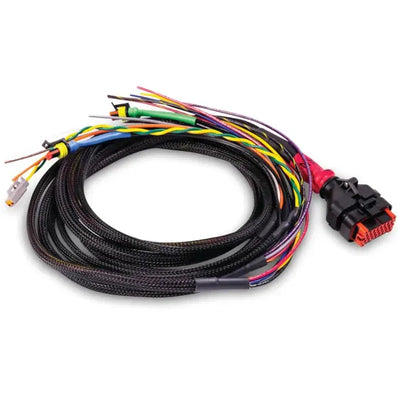 Battle Born Batteries auto part