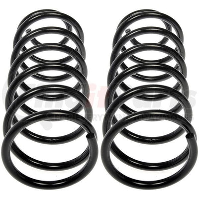 COIL SPRINGS