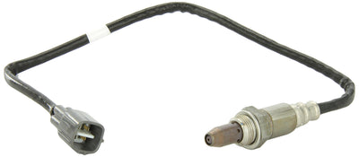 O2 OXYGEN SENSOR