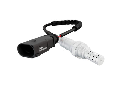 DELPHI auto part