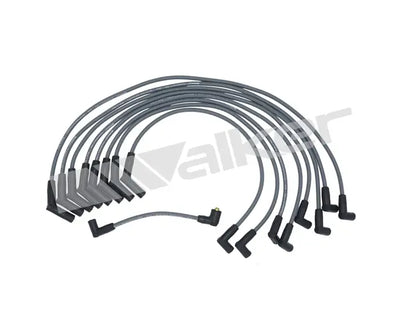 Walker Products Inc. - auto part