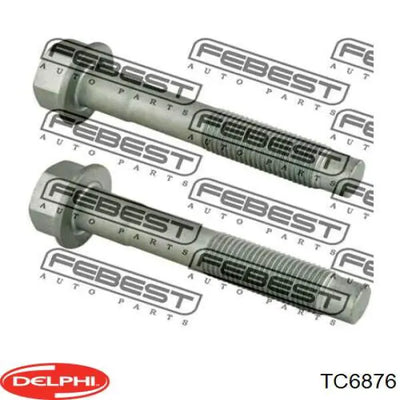 DELPHI auto part