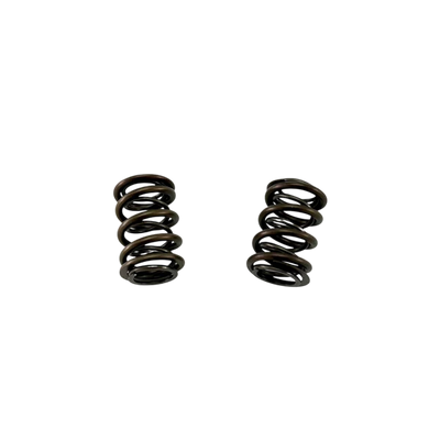 Comp Cams SPRINGS DUAL .550 LIFT BRIGG S GP965-2