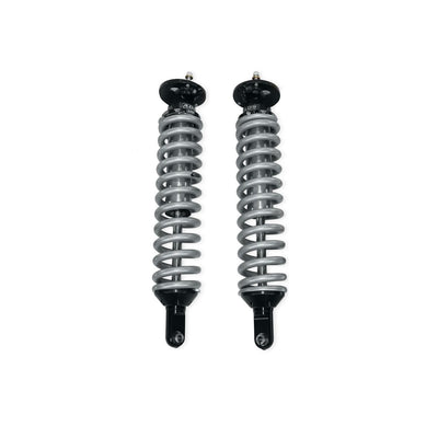 Arizona Desert Shocks auto part