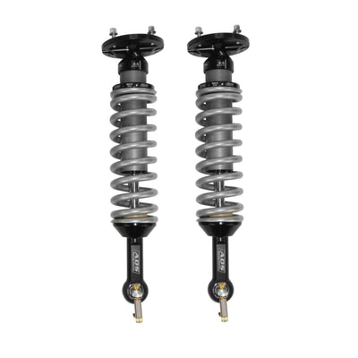 Arizona Desert Shocks auto part