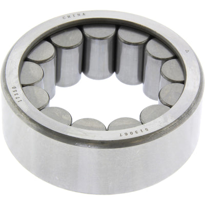 Centric Standard Cylindrical Roller Bearing - Rear