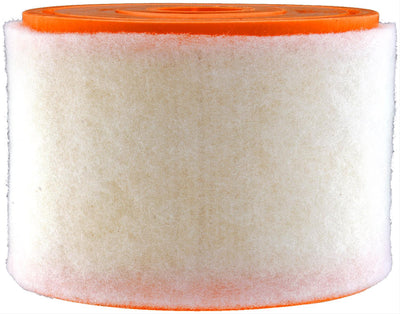 AIR FILTER EXTRA GUARD